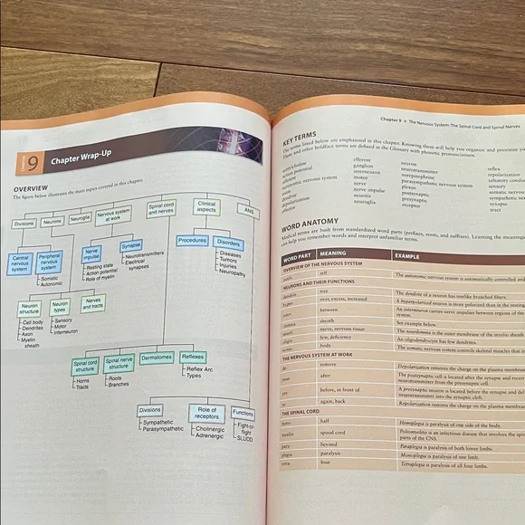 Human Body textbook - Picture 6 of 11